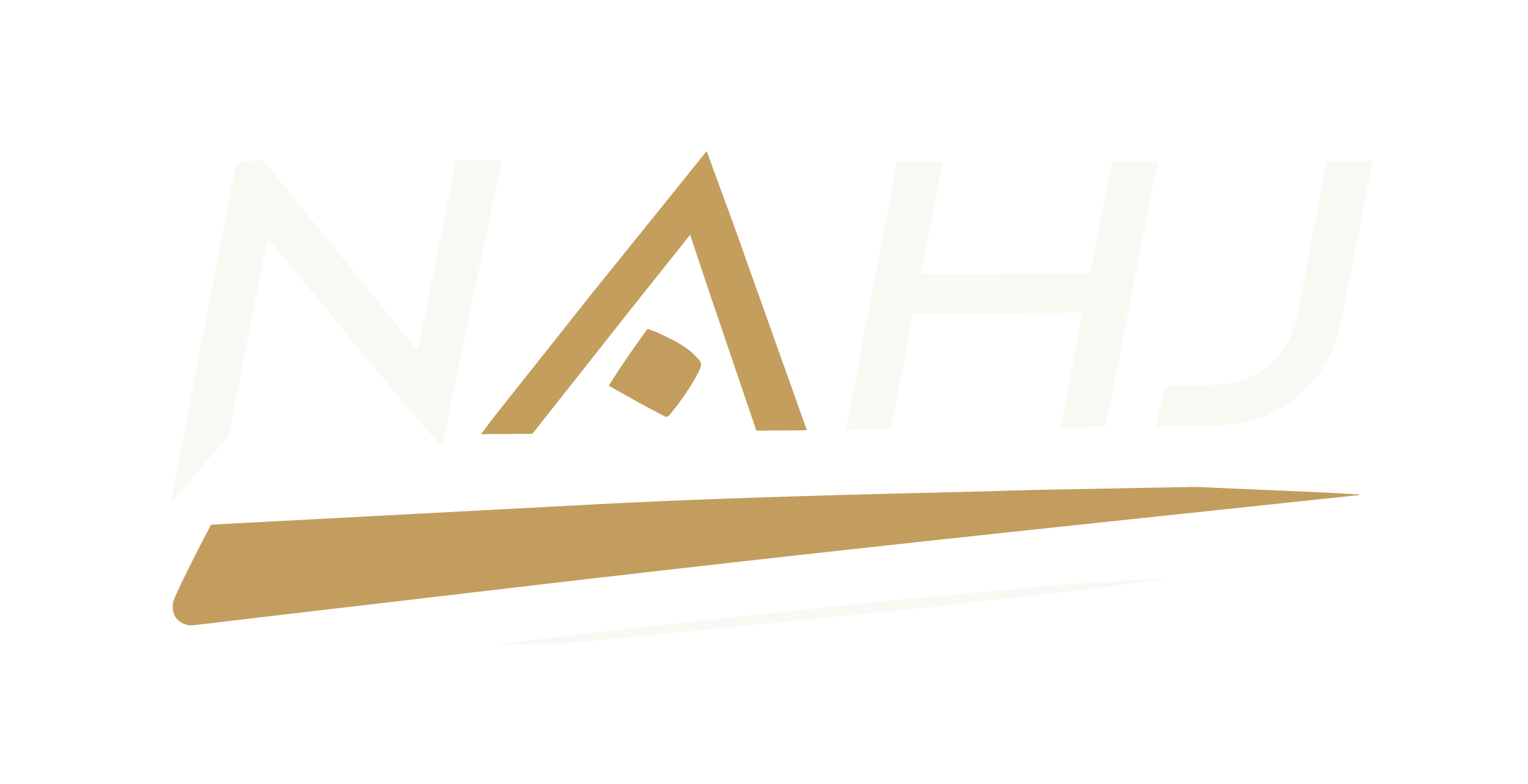 NAHJ Consulting & Training