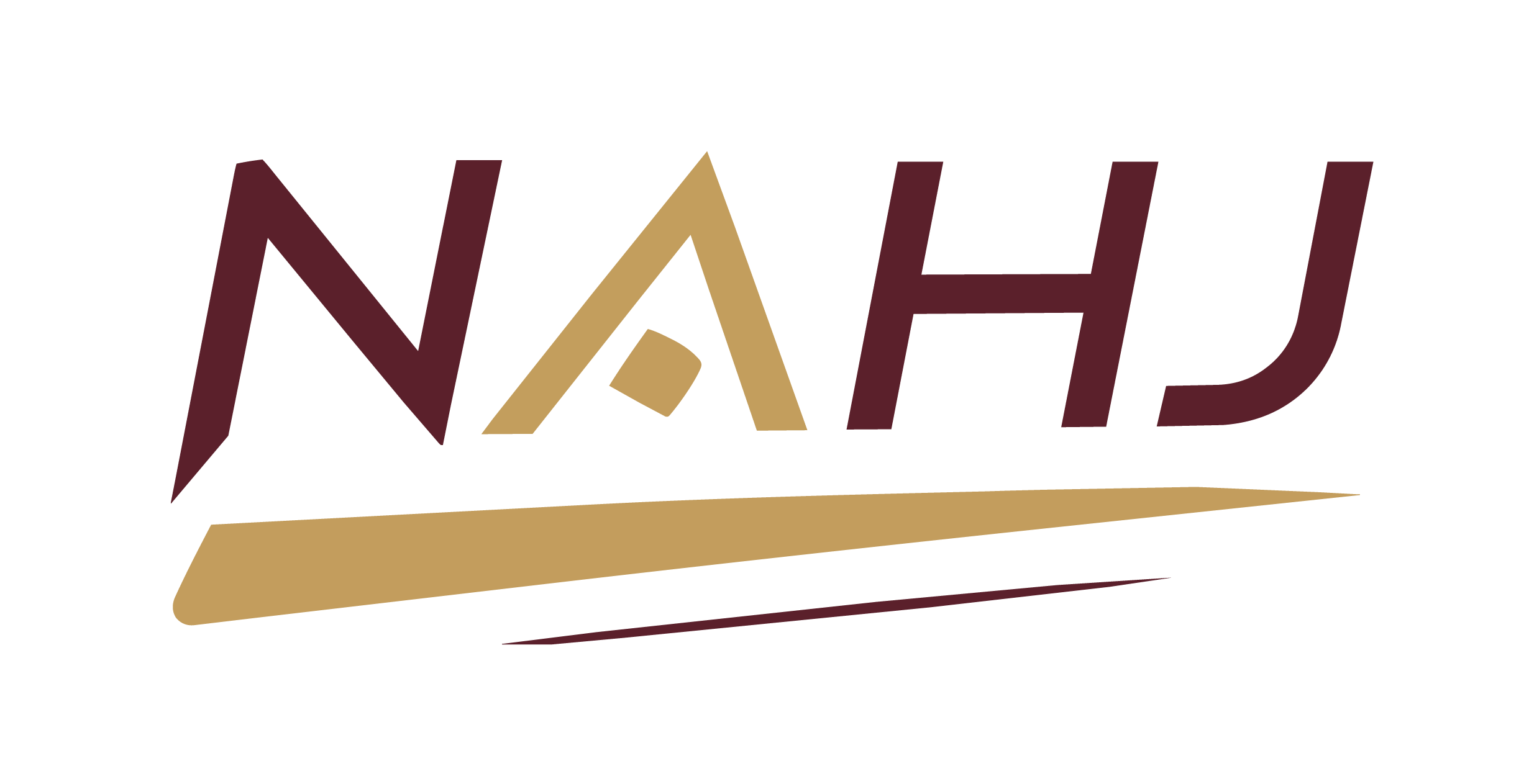 NAHJ Consulting & Training